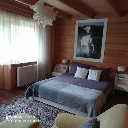 Zacisze Apartment
